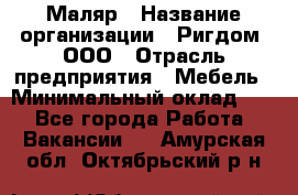 Маляр › Название организации ­ Ригдом, ООО › Отрасль предприятия ­ Мебель › Минимальный оклад ­ 1 - Все города Работа » Вакансии   . Амурская обл.,Октябрьский р-н